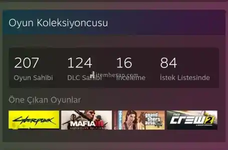 207 Oyunlu 124 DLC li Steam Hesabı