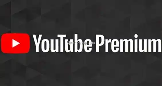 en hızlı youtube premium hesabı.