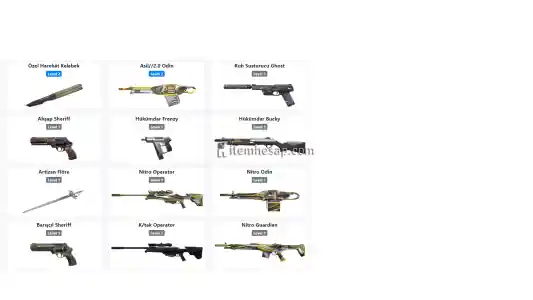 gold 1  2 k yatırılmış hesap