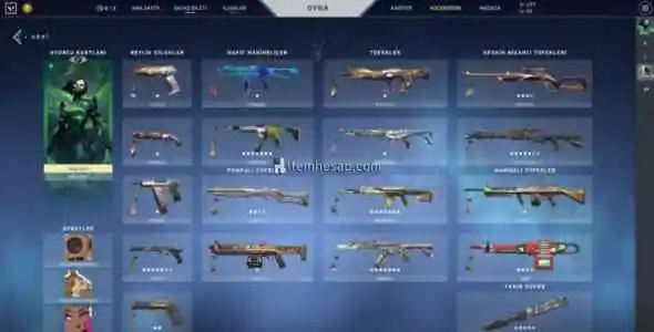 Full Dolu Kelebekli Valorant Hesabı