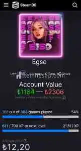 207 Oyunlu 60 lvl Steam Hesabı