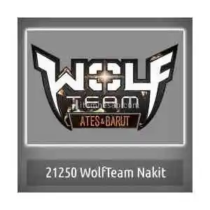 350 Wolfteam Nakit (1.000 Jp) 5 Dakika İçinde Teslimat