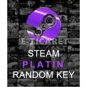 STEAM KOLEKSİYON KARTLI PLATİN RANDOM KEY