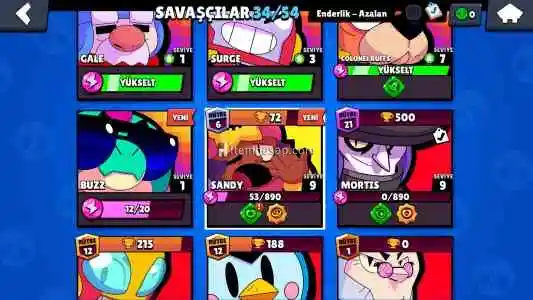 Brawl Stars Hesabı 80TL !!