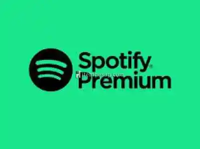 Spotify Premium hesap