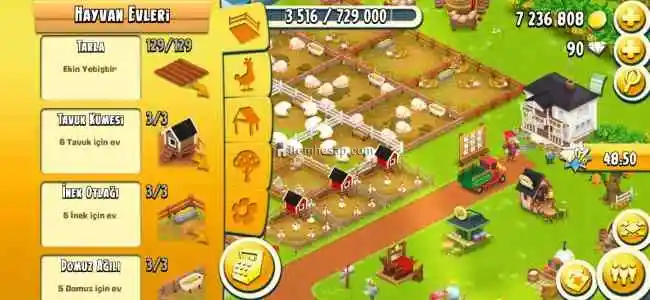 Hayday 102 Level Hesap