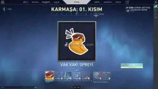 3000tl yakın yatırılmış dop dolu çar