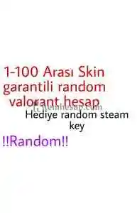 1-100 random valorant hesap