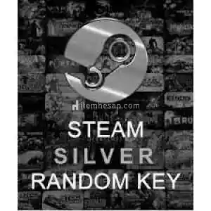 Silver key