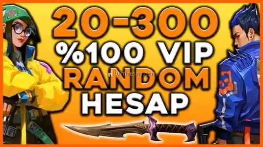 100% TR Valorant Random Hesap(20-300)