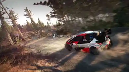 WRC 8 FIA World Rally Championship Deluxe Edition Steam Key