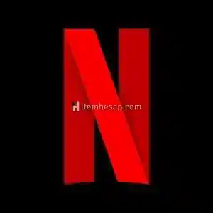 Netflix 1 kişilik 1 aylık hesap