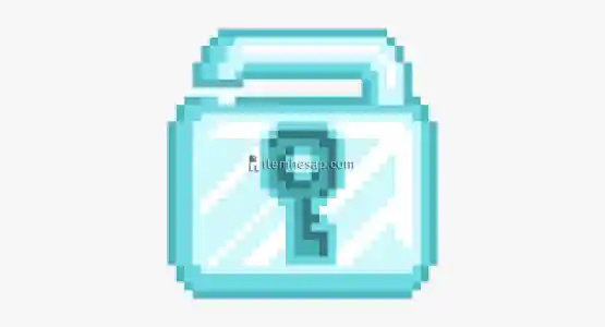 GROWTOPIA DIAMOND LOCK