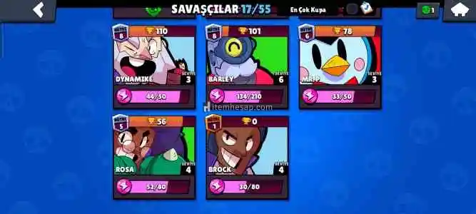 Kaliteli Hesap kupasına göre iyi(Almadan Önce Bana Yazın)