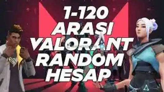 3-120 ARASI SKİNLİ HESAPLAR