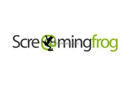 Screamingfrog 1 Yıl URL Tarama