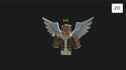 ROBLOX KAÇIRIRMIYCAK HESAP