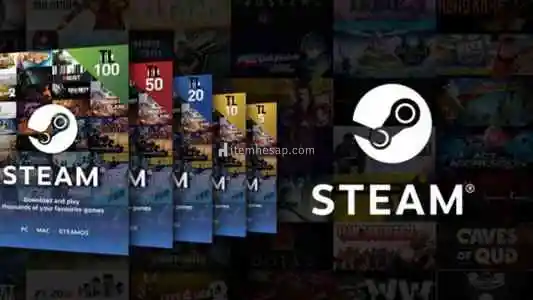 Steam 20 tl Cüzdan kodu