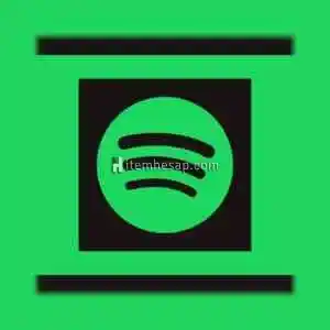 Spotify Premium - 1 Aylık