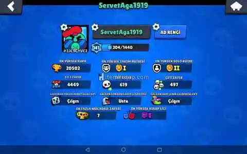 Brawl Stars Dolu hesap