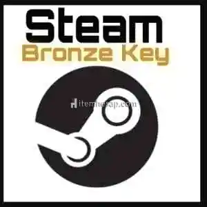 3 Adet Bronze Steam Random Key