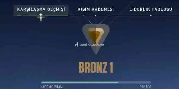 Bronz 1 29 Level 1Skinli Anında Teslim