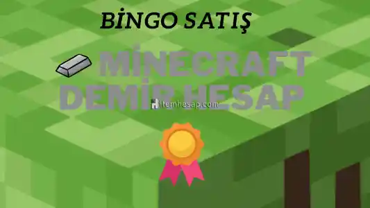 MİNECRAFT DEMİR PREMİUM HESAP