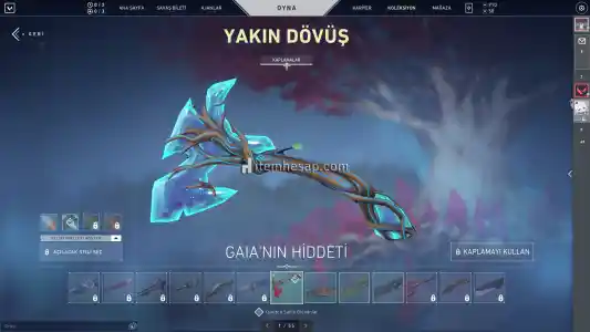 DELİPOPLU GAİALI UYGUN HESAP