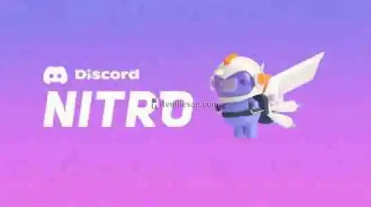 Discord 1 aylık nitro