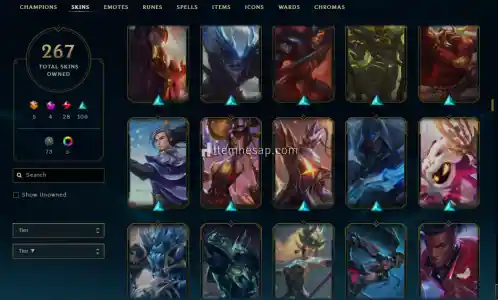 267 SKIN 6K TL YATIRILMIS + TFT 2K YATIRILMIS HESAP