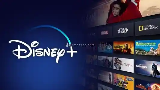 1 Ay Disney+ Hesap