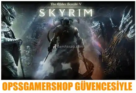 The Elder Scrolls V Skyrim (Online)