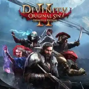 Divinity Original Sin 2  Definitive Edition