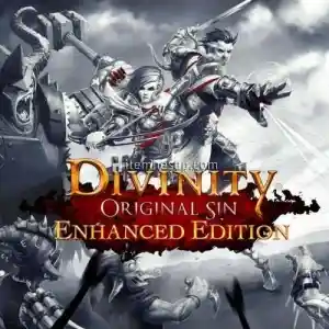 Divinity Original Sin Enhanced Edition