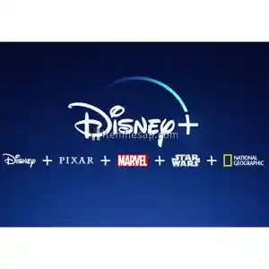 Disney Plus Premium Hesap