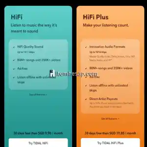 Tidal Hifi Plus 1 Ay Hesap (Amerika VPN)