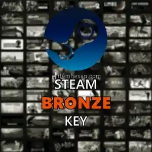 Steam Bronze Random Key