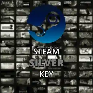 Steam Silver Random Key