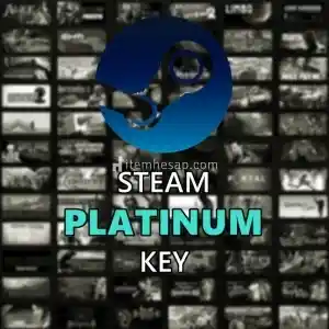 Steam Platinum Random Key