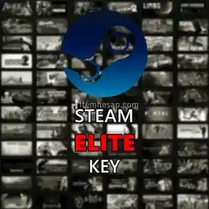 Steam Elite Random Key