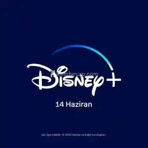 Disney Plus 1 Aylık