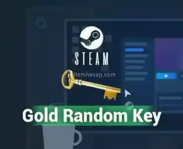 Steam Gold Key 1 +1