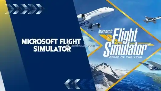 Microsoft Flight Simulator + Garanti (Online)