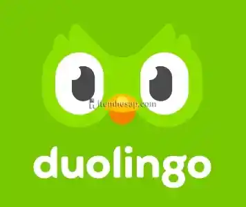 Duolingo Plus 1 Aylık Üyelik + Garanti + Hediye