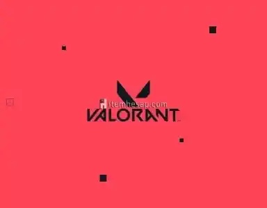 740 Valorant Points