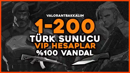 VANDAL GARANTİ 1-200 SKIN TÜRK SUNUCU! - VALORANT