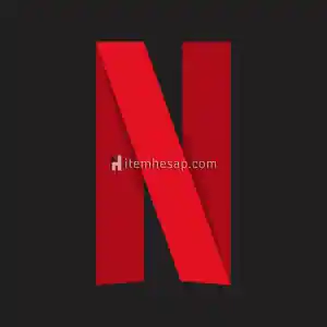 Netflix 1 Aylık Premium