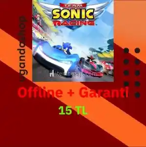 Team Sonic Racing Offline Steam Hesap + Garanti