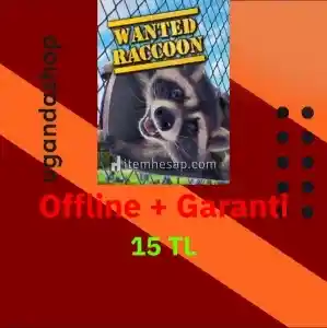 Wanted Raccoon Offline Steam Hesap + Garanti