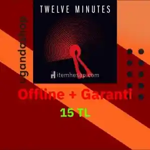 Twelve Minutes Offline Steam Hesap + Garanti